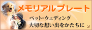 �y�b�g��E�v���[�g�E�Α�